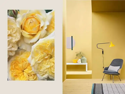 空间灵感家居春日调色盘(图4)