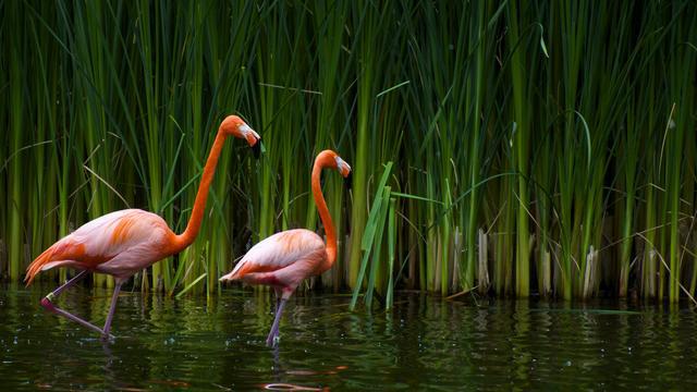 kaiyun网站：花80万给儿子买婚房他要买在岳母家附近老伴苦笑：给亲家养的(图4)