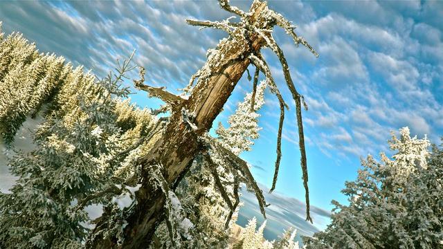 kaiyun网站：花80万给儿子买婚房他要买在岳母家附近老伴苦笑：给亲家养的(图3)