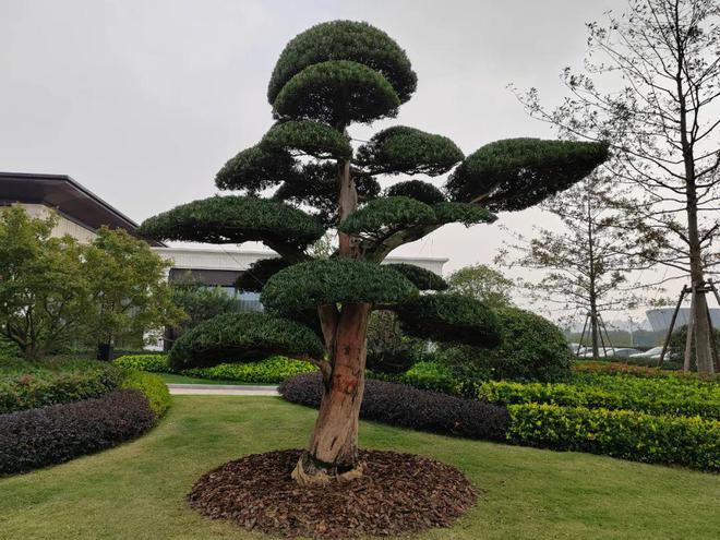 宝山佳运·瑞璟湾售楼处发布：中外环1号18号线双轨交『』(图14)