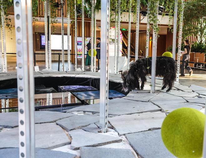 kaiyun：新天地设计节启幕“无边界乐园”等你来探索(图16)