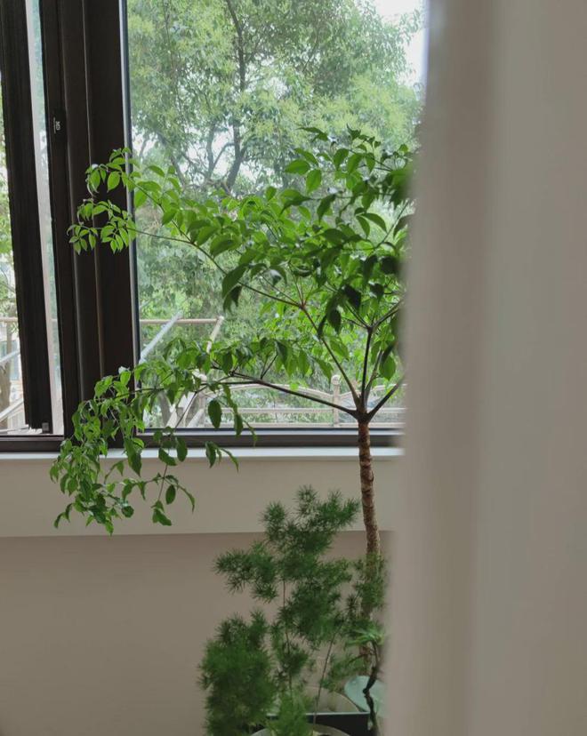 年轻人56平温馨原木调小家让人多巴胺上升的轻中古小家顺利落成(图8)