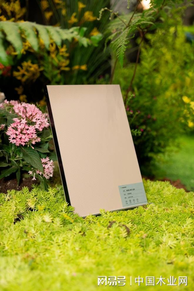 聚焦高定市场兔宝宝开启家居饰材转型升级探索绿色可持续发展(图4)