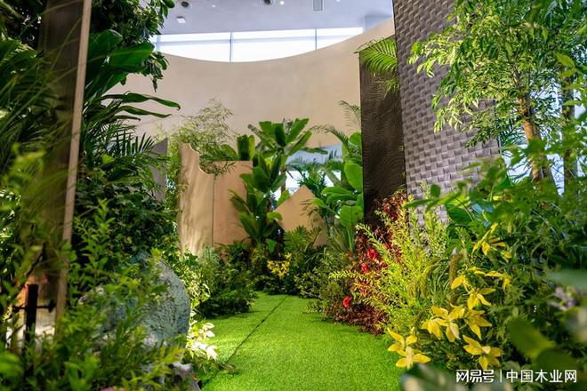 聚焦高定市场兔宝宝开启家居饰材转型升级探索绿色可持续发展(图3)