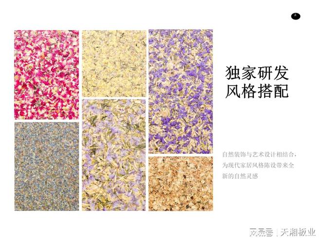 kaiyun入口：天湘板业：助力中国设计师于「奢居里」斩获设计荣光(图5)