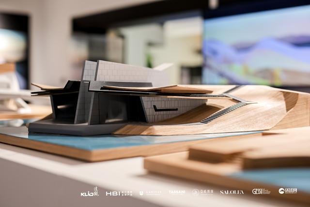 环球访谈丨SALOLEA胡永隆：材料与设计交融共创高端人居生活(图4)