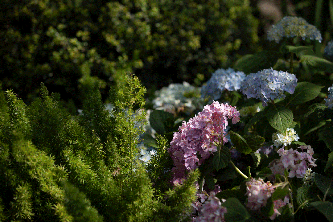 浦东浦发上品(2024)售楼处网站：总价约499-880万！(图9)