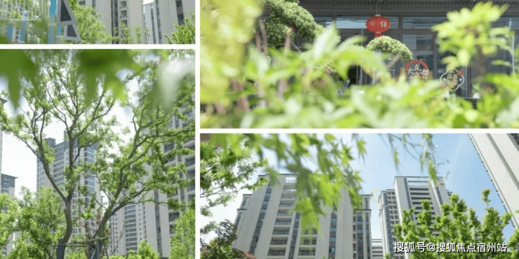 嘉善住宅(金悦学府)2024楼盘详情-房价-户型-交通-配套-地铁(图5)