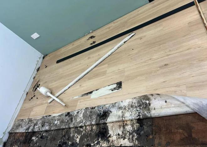 kaiyun网站：等我换房次卧再也不装榻榻米了学邻居这样设计太聪明了！(图5)