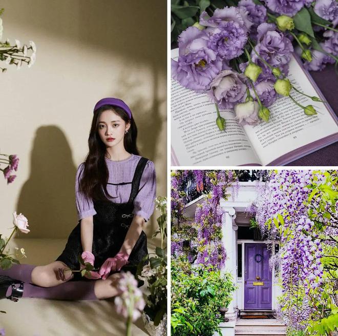 遇见色彩梦幻佩斯利紫舞动空间韵律绘就家居艺术的绮丽画卷(图4)