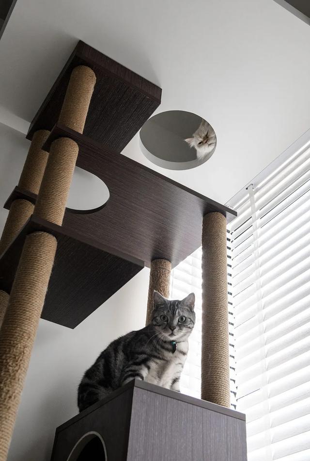 kaiyun入口：从旧到新：老夫妻的110平米家居翻新开启退休新篇章(图3)