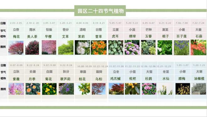 【深度地产】从映象产品到映象生活(图11)