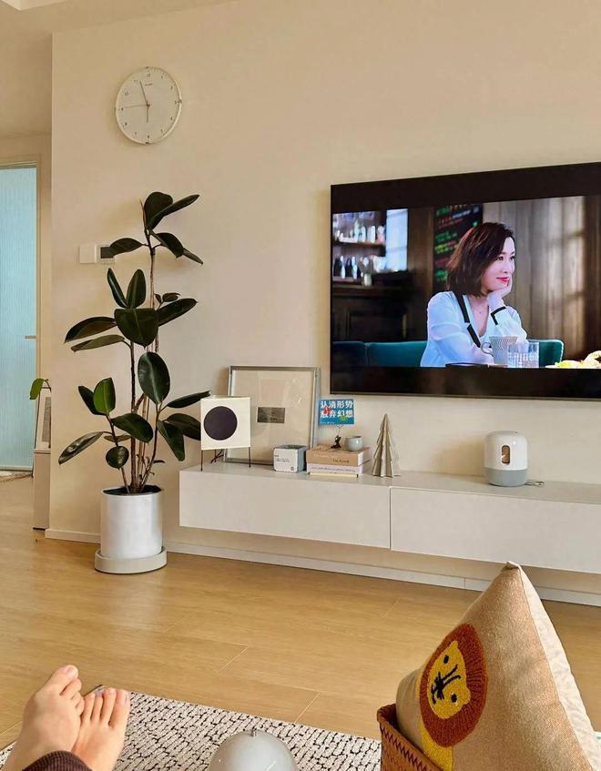 kaiyun：看完51岁阿姨的家：57㎡才知什么叫岁月静好一