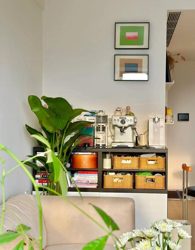 kaiyun：看完51岁阿姨的家：57㎡才知什么叫岁月静好一进门就被治愈了(图4)