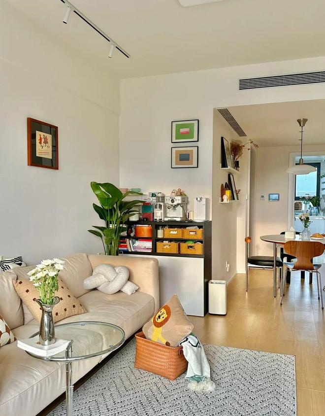 kaiyun：看完51岁阿姨的家：57㎡才知什么叫岁月静好一进门就被治愈了(图3)