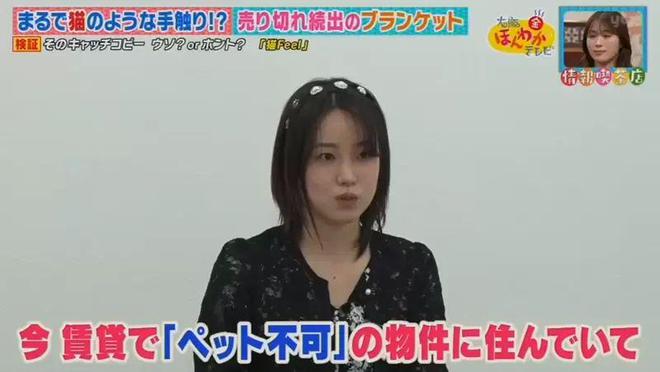 kaiyun：猫触感家居设计师的离谱创意：无法养猫就模拟猫感(图2)