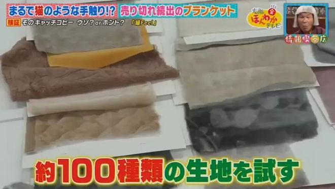 kaiyun：猫触感家居设计师的离谱创意：无法养猫就模拟猫感(图3)