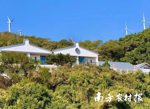 民宿主理人刘玉阳：在一座海岛重述生活的意义广东乡村休闲产业·民宿①(图8)