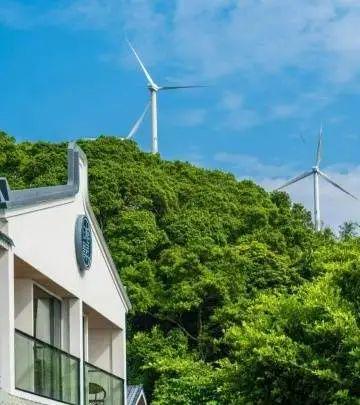 民宿主理人刘玉阳：在一座海岛重述生活的意义广东乡村休闲产业·民宿①(图2)