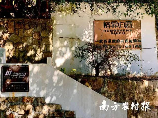 民宿主理人刘玉阳：在一座海岛重述生活的意义广东乡村休闲产业·民宿①(图4)