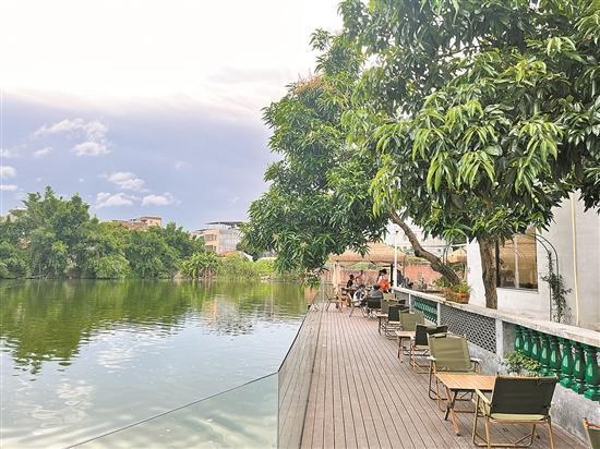 「惠州文脉·创想」惠州“美丽庭院”建设火热推进：“方寸地”展