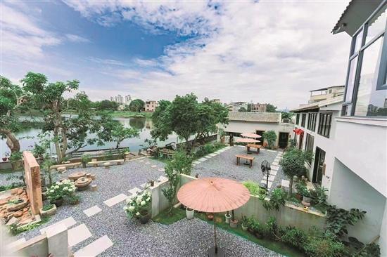 「惠州文脉·创想」惠州“美丽庭院”建设火热推进：“方寸地”展现新活力演绎多种理想生活(图3)