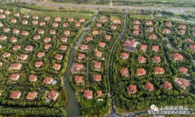 上海松江东紫园（百度百科）东紫园（网站）详情(图4)