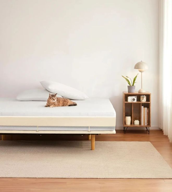 智能床性价比王者整个家的软装它最值得！(图17)