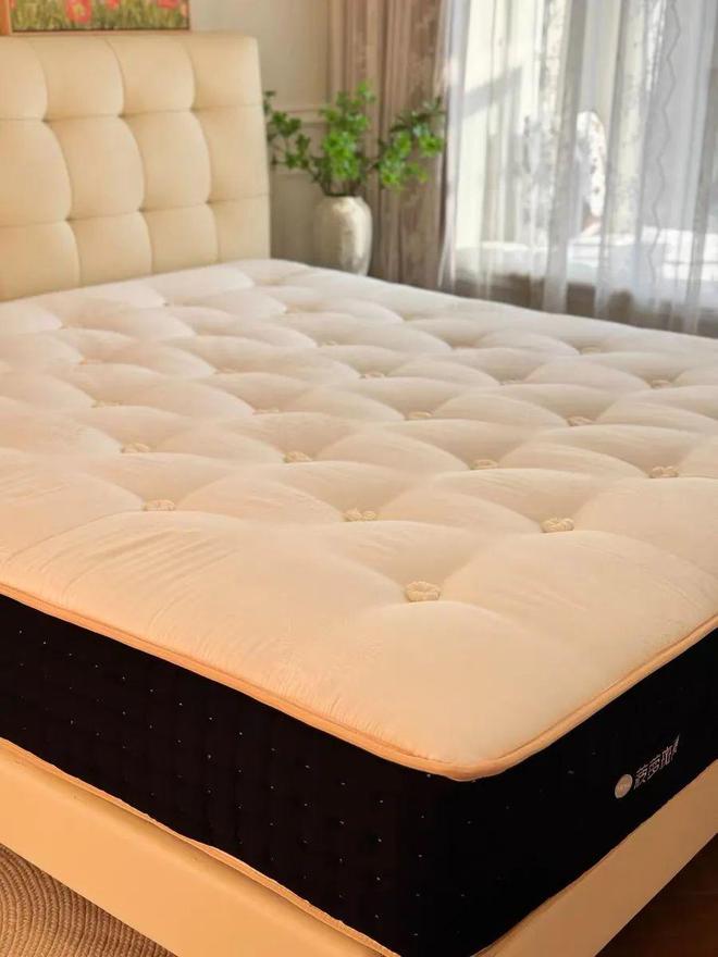 智能床性价比王者整个家的软装它最值得！(图32)