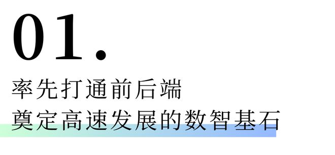 kaiyun入口：从观念的胜出到卓越的实践帅太家居的数字化突围(图3)