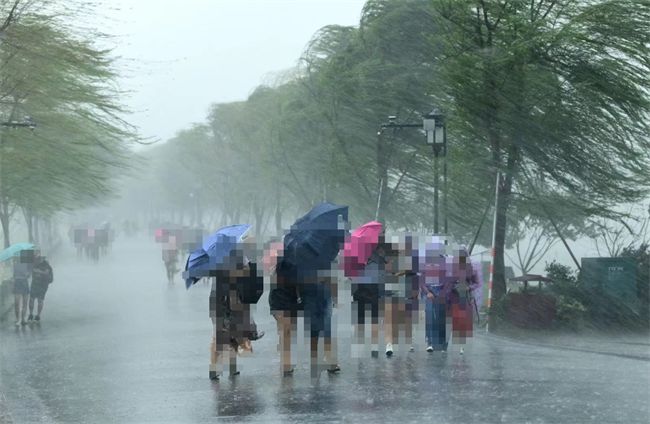 明窗门窗：风雨中的坚固守护夏日里的宁静港湾