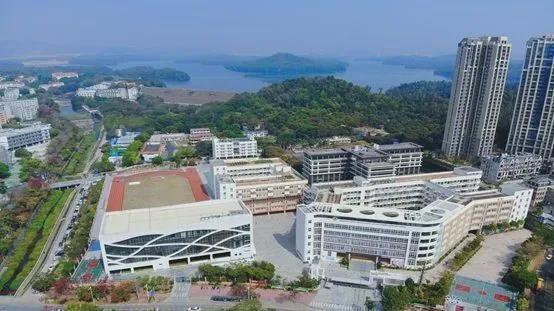 kaiyun：2024发布：深圳海峦坊欢迎您【海峦坊】最新详情！(图3)