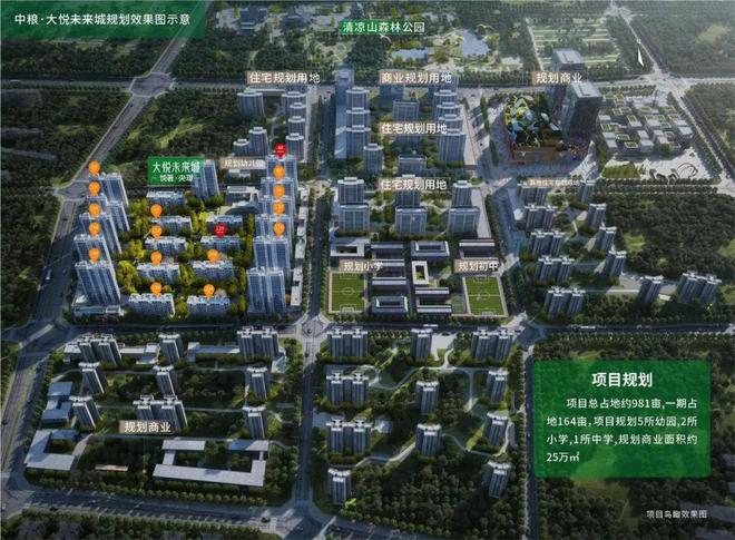 线万在长安区买房吗境与宅装修报告(图4)