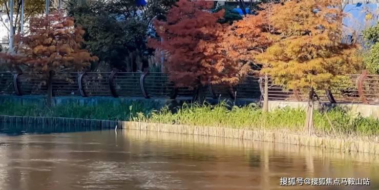 kaiyun入口：浦东浦发上品售楼处电话售楼中心楼盘百科详情首页网站24小时热线电话(图5)