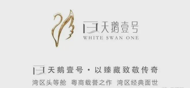 白天鹅壹号2024最新→白天鹅壹号值得买吗？一文读懂(图2)