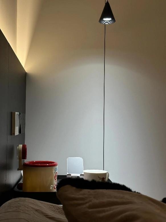 卧室别闲着就做这5个“功能设计”真的好用(图13)