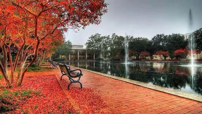 kaiyun：家居设计美国留学