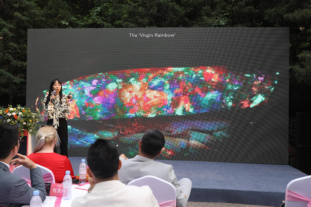 kaiyun入口：2023中芬设计时尚发布会现场TimelessDesign永不褪色的设计品牌生命力的能量场(图15)