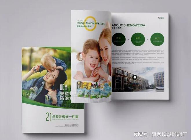 kaiyun入口：南京升企业形象画传册设计-南京手提袋印刷-印刷厂(图3)