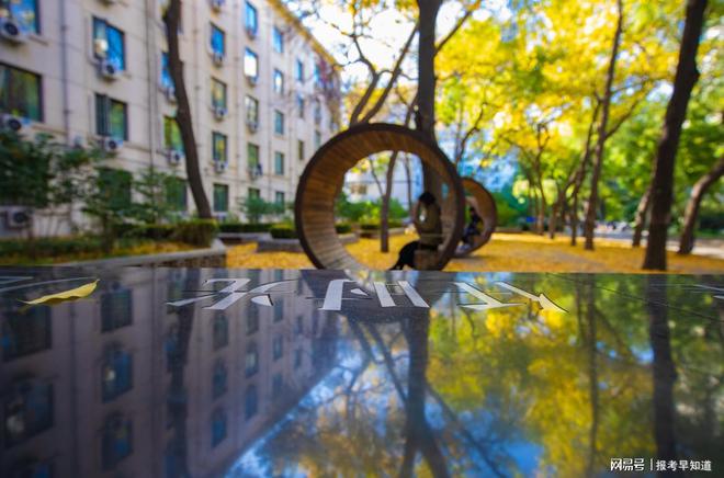 你知道吗？这个北京林业大学王牌专业能让你当家具设计师！(图3)