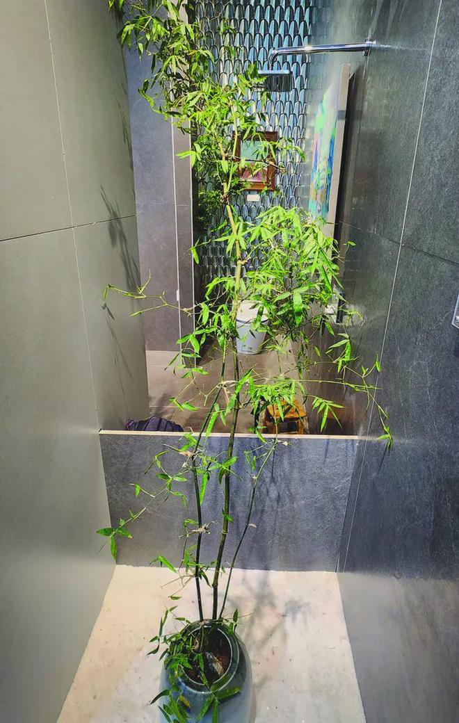 kaiyun入口：展现未来多元化空间——2024中国家居新品潮流趋势(图5)