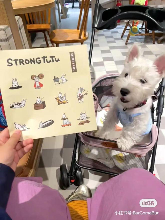 首创金陵申善文：要把南京博爱、包容的内涵体现在品牌中(图12)