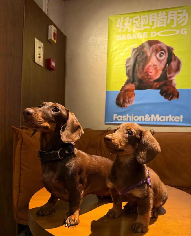 首创金陵申善文：要把南京博爱、包容的内涵体现在品牌中(图9)