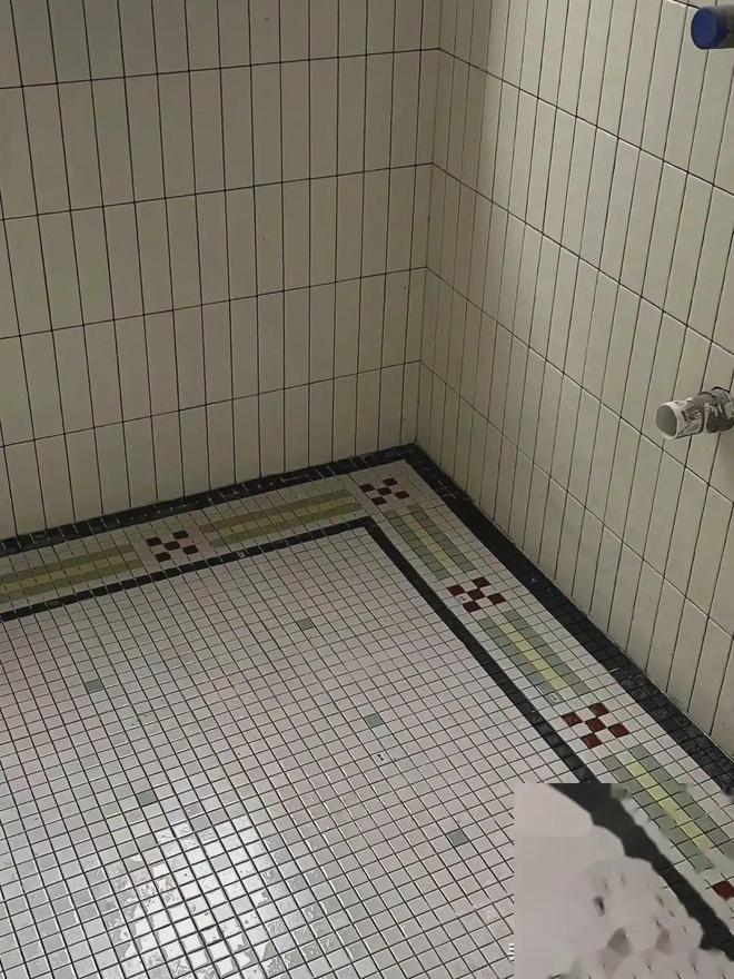 如果重铺一次瓷砖我一定“9不选”不是矫情是花钱买来的教训(图24)