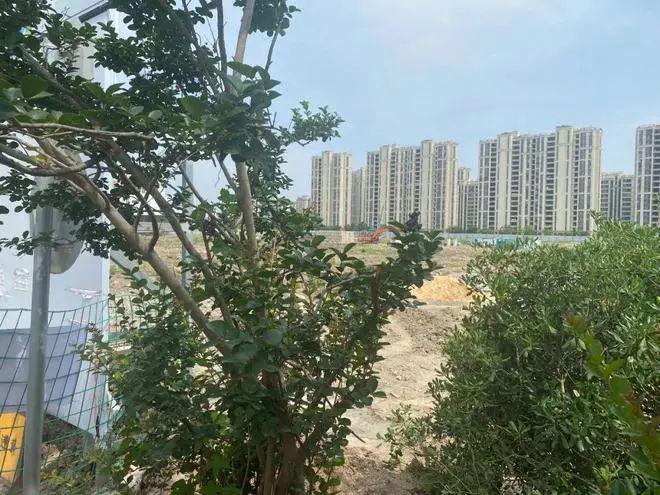 中国铁建熙语【2024网站】中国铁建熙语-百度百科-上海房天下(图17)