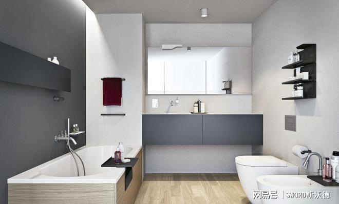 斯沃德不锈钢浴室柜：打造现代家居的理想之选(图7)