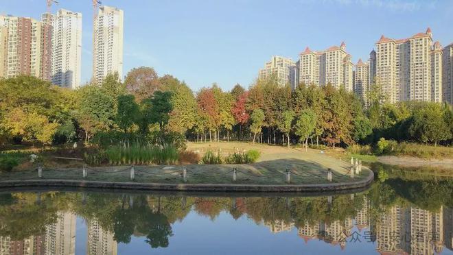 kaiyun网站：武昌丨能建青誉府售楼处（2024新楼盘详情）能建青誉府网站(图2)