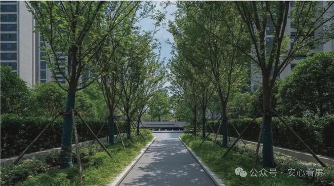 kaiyun网站：武昌丨能建青誉府售楼处（2024新楼盘详情）能建青誉府网站(图9)