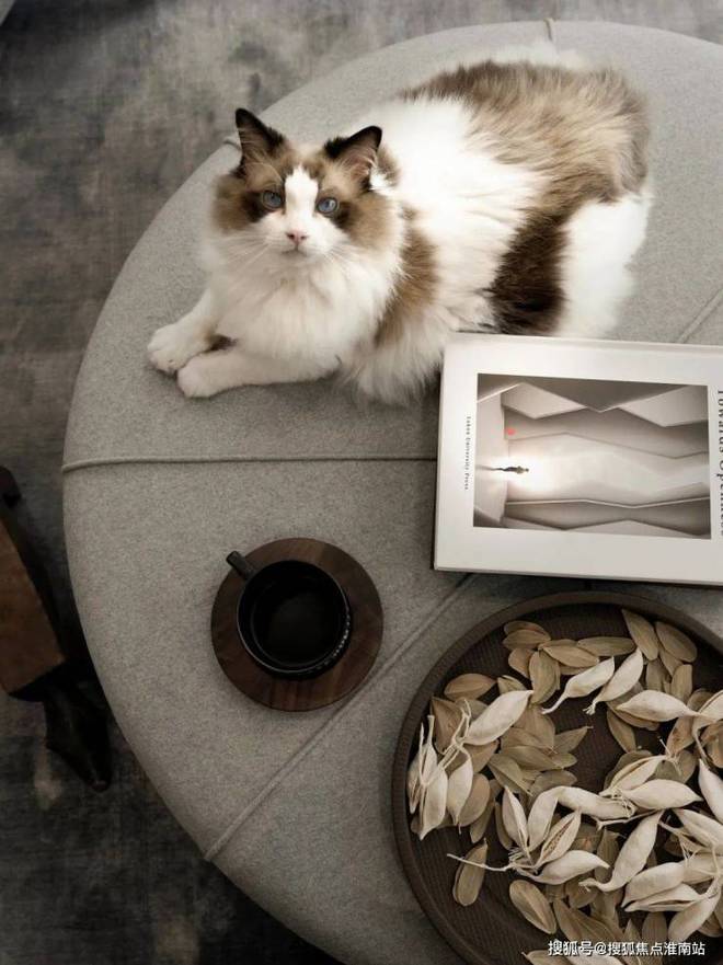 鹏瑞·云璟湾售楼处网站-百度百科-上海鹏瑞云璟湾-上海房天下(图16)