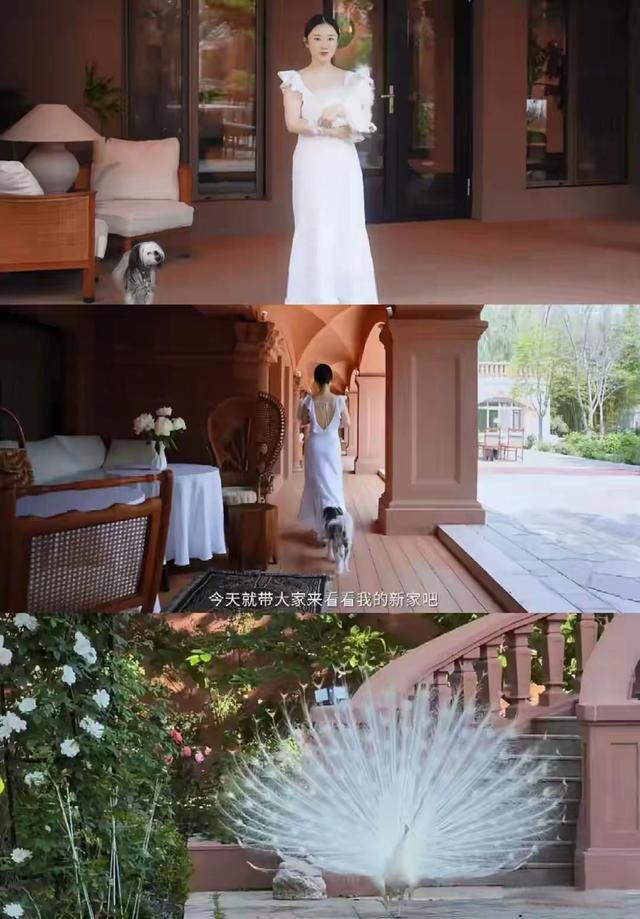 娄艺潇搬北京新家六层别墅首曝光卫生间就100平奢华又雅致